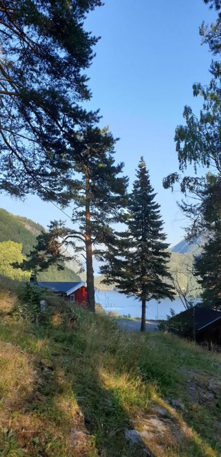 Studio 5 Дален Экстерьер фото